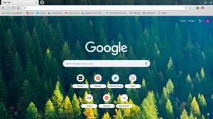 best chrome themes