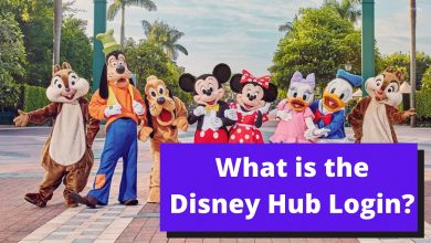 disney hub