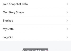 how to change snapchat username