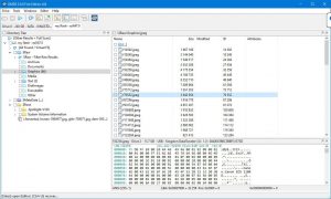 D.M. Disk Editor and Data Recovery Software