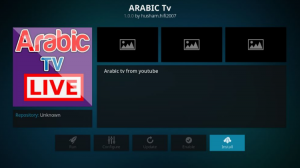 kodi arabic channels