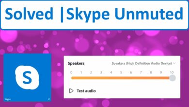 How To Stop Skype From Muting Other Sounds on Windows 10? Step-by-Step Guide