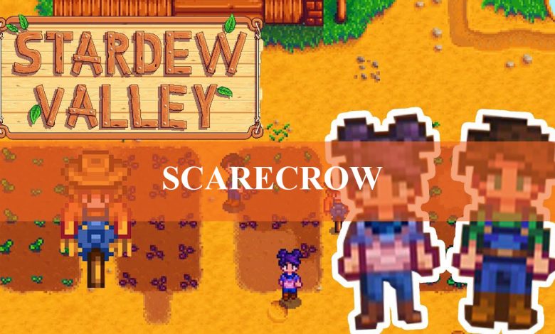 Stardew Valley Rarecrow range