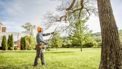 tree cutting services