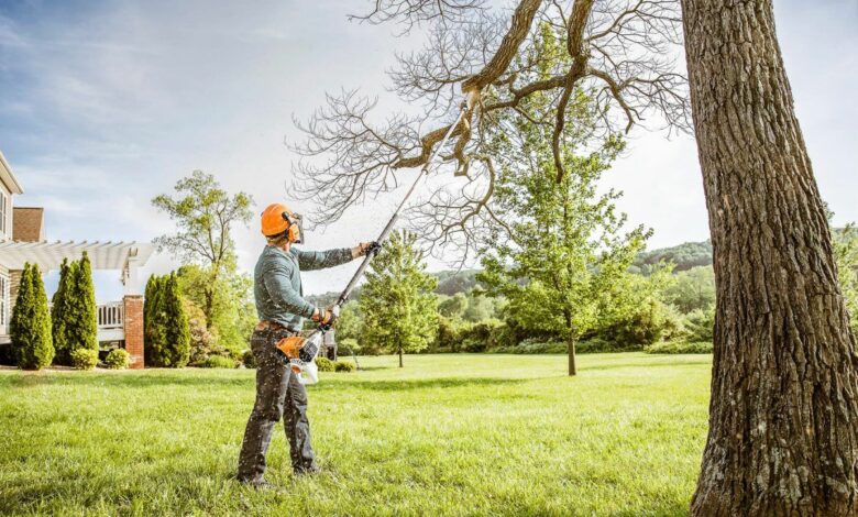 tree cutting services