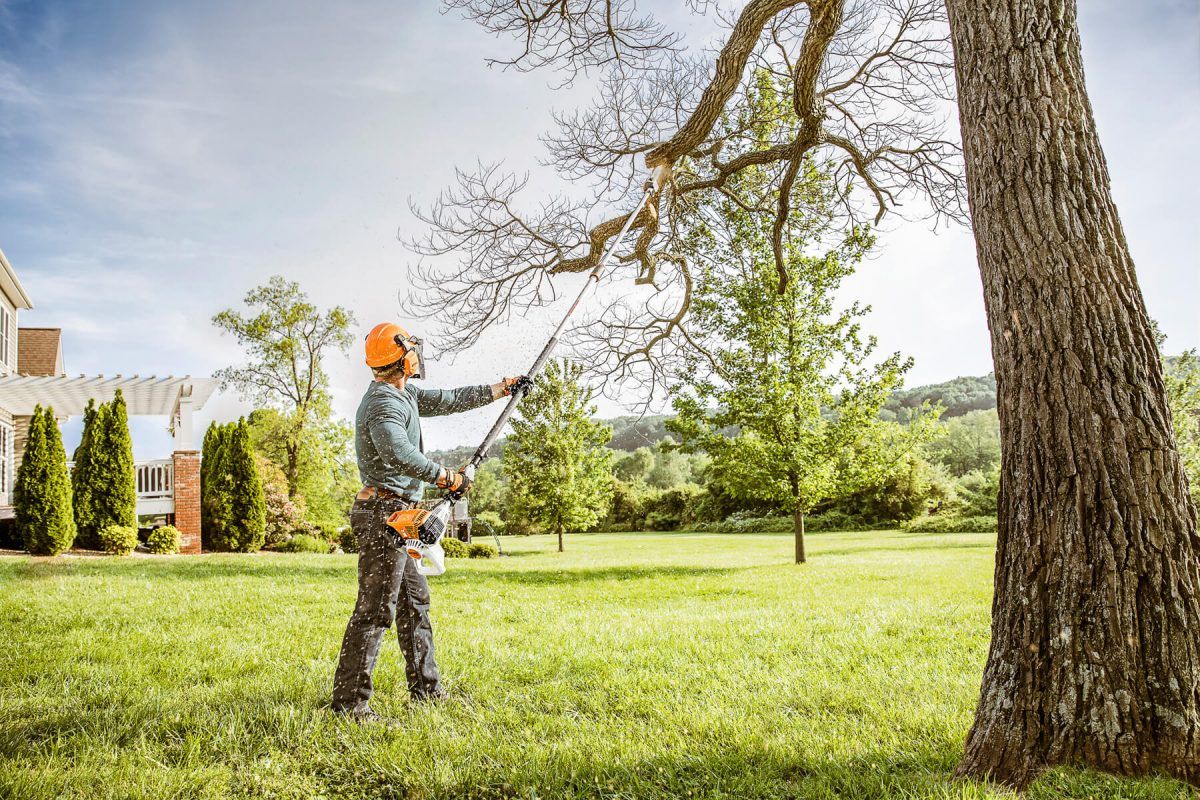 tree cutting services