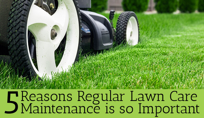 lawn care services