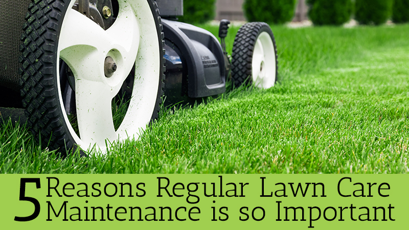 lawn care services