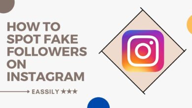 How To Spot Fake Followers on Instagram Easily (2021)