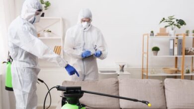 covid cleaning services