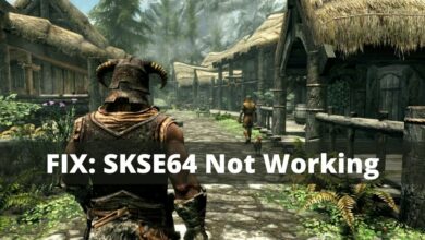 skse 64 not working