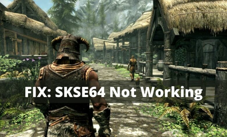 skse 64 not working