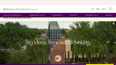 D2L Mnsu Login | D2L Brightspace – Minnesota State University