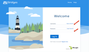 Michigan Bridges Account Login