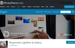 Responsive Lightbox & Gallery