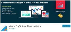 Visitor Traffic Real Time Statistics