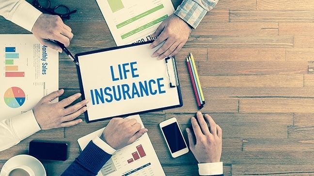 Best term life insurance