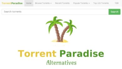 Torrentparadise Alternatives