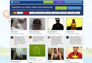 TinyChat