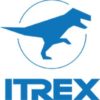 ITRex Group 