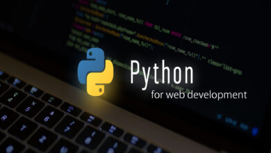 python web development