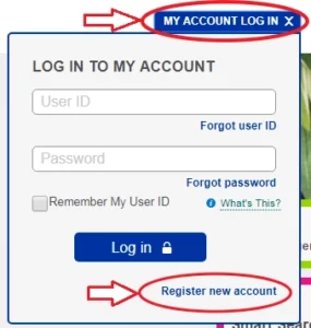 myaccountallstate login