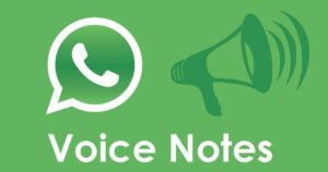 Voice Notes