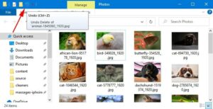 undo file deletion