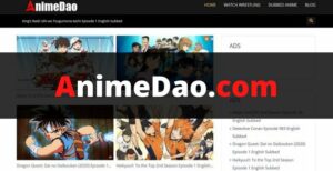 AnimeDao Review