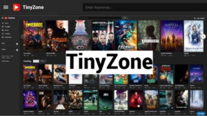 Tiny Zone