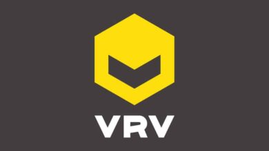 VRV Alternatives