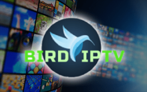 Brid IPTV