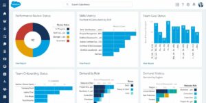 FinancialForce HCM