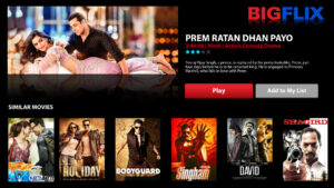 BigFlix