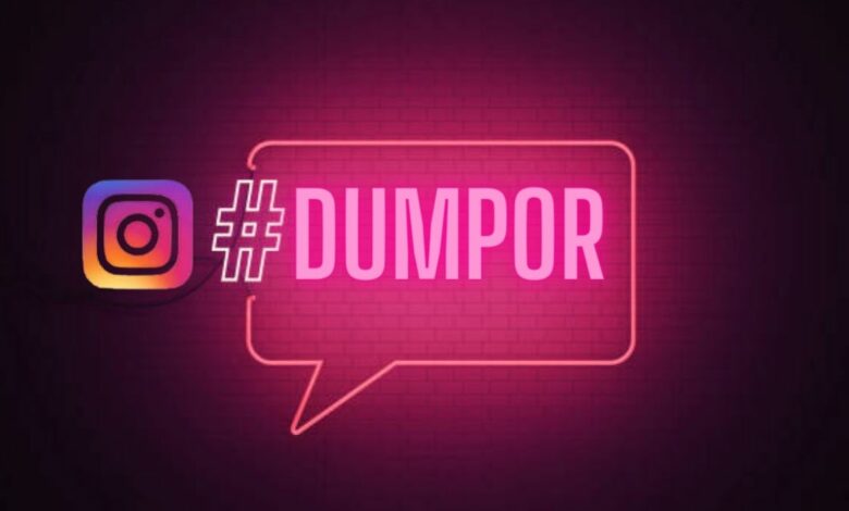 Dumpor Alternatives