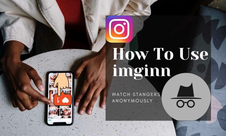 imginn review