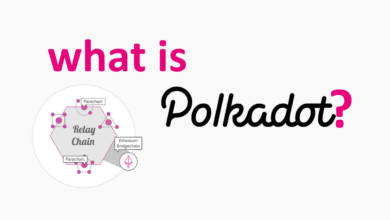 what is polkadot crypto is it a good investment