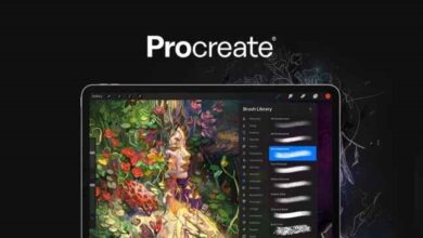 Procreate Alternatives