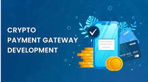 Start a Crypto Payment Gateway