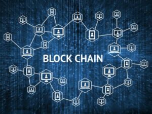 Use a Established Blockchain