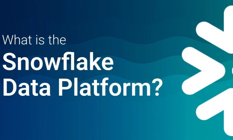 Snowflake Benefits and Use Cases for Data Heavy Applications