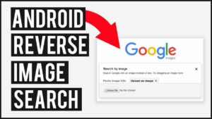 Google Reverse Image Search