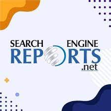 Search Engine Reports