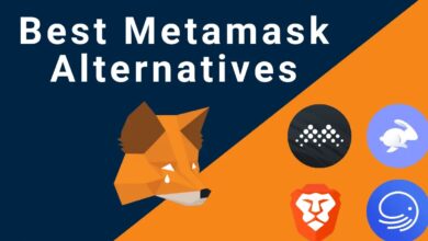 MetaMask Alternatives