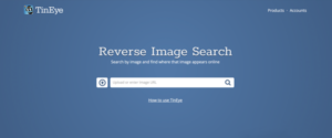inEye Reverse Image Search