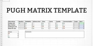 Pugh Matrix