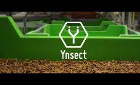 Ynsect