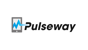 MMSoft Pulseway