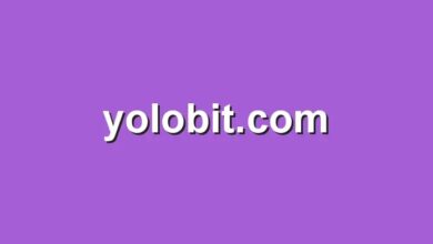 yolobit