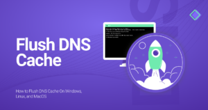 Flush DNS Cache